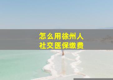 怎么用徐州人社交医保缴费