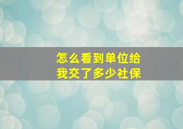 怎么看到单位给我交了多少社保