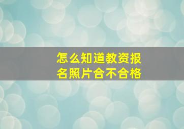 怎么知道教资报名照片合不合格