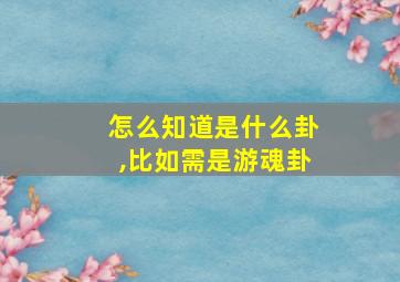 怎么知道是什么卦,比如需是游魂卦