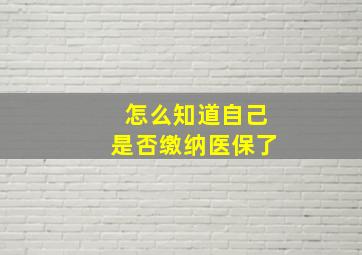 怎么知道自己是否缴纳医保了