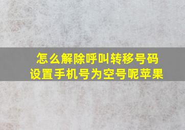 怎么解除呼叫转移号码设置手机号为空号呢苹果