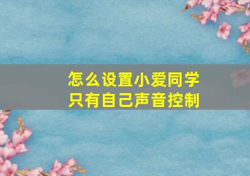 怎么设置小爱同学只有自己声音控制