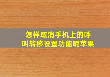 怎样取消手机上的呼叫转移设置功能呢苹果