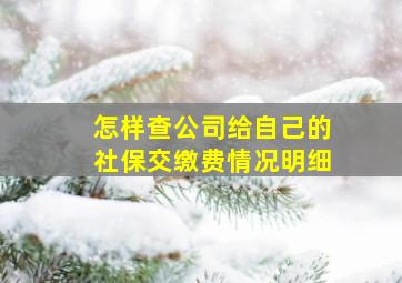 怎样查公司给自己的社保交缴费情况明细