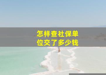 怎样查社保单位交了多少钱