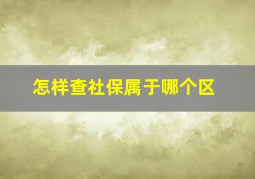 怎样查社保属于哪个区