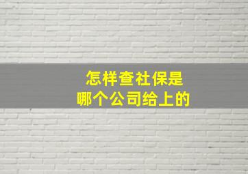 怎样查社保是哪个公司给上的