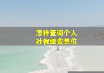 怎样查询个人社保缴费单位