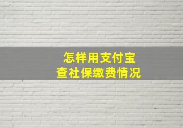 怎样用支付宝查社保缴费情况