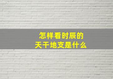 怎样看时辰的天干地支是什么