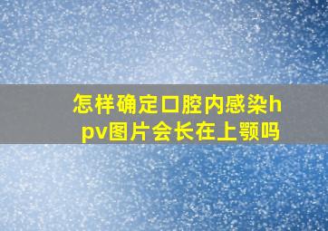 怎样确定口腔内感染hpv图片会长在上颚吗