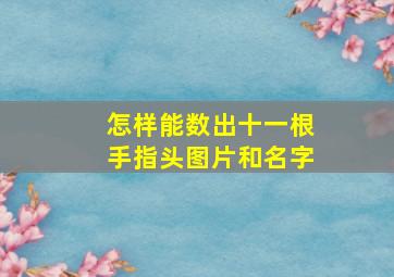 怎样能数出十一根手指头图片和名字