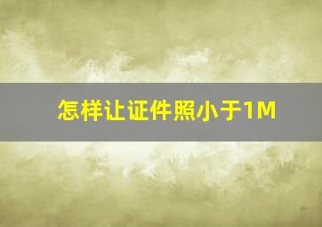 怎样让证件照小于1M