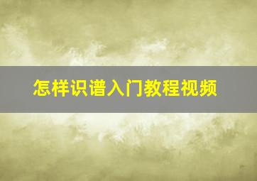 怎样识谱入门教程视频