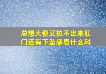 总想大便又拉不出来肛门还有下坠感看什么科