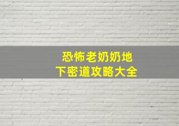 恐怖老奶奶地下密道攻略大全