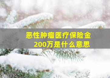 恶性肿瘤医疗保险金200万是什么意思