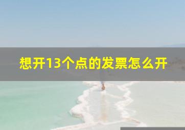 想开13个点的发票怎么开