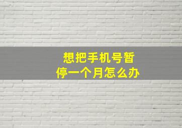 想把手机号暂停一个月怎么办