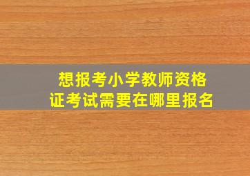 想报考小学教师资格证考试需要在哪里报名