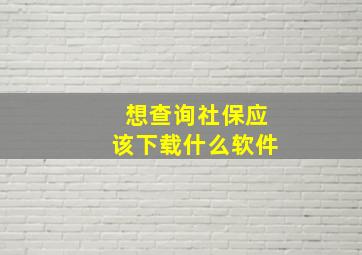 想查询社保应该下载什么软件