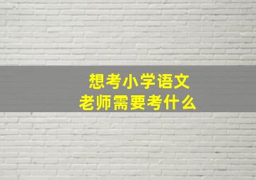 想考小学语文老师需要考什么