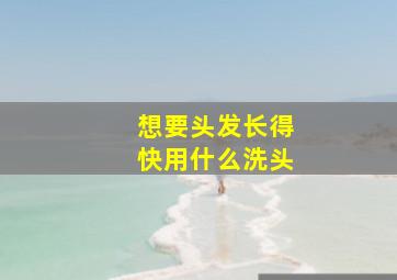 想要头发长得快用什么洗头