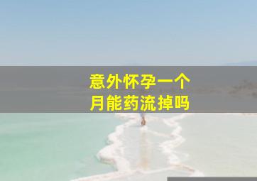 意外怀孕一个月能药流掉吗