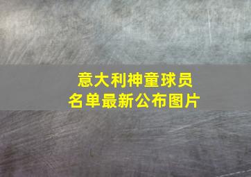 意大利神童球员名单最新公布图片