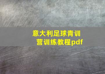 意大利足球青训营训练教程pdf