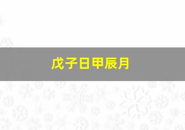 戊子日甲辰月