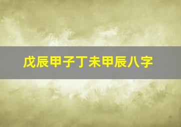 戊辰甲子丁未甲辰八字