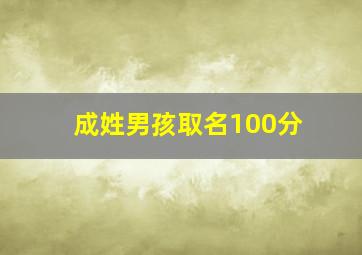 成姓男孩取名100分