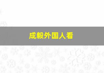 成毅外国人看