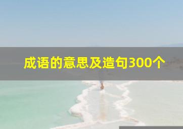 成语的意思及造句300个