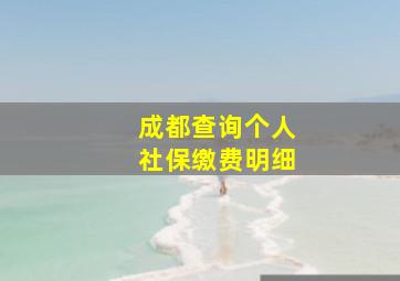 成都查询个人社保缴费明细