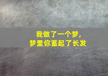 我做了一个梦,梦里你蓄起了长发