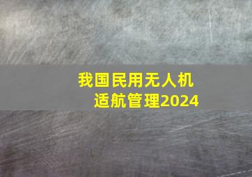 我国民用无人机适航管理2024