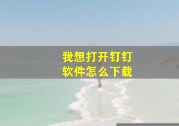 我想打开钉钉软件怎么下载