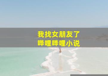 我找女朋友了哔哩哔哩小说