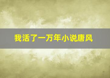 我活了一万年小说唐风