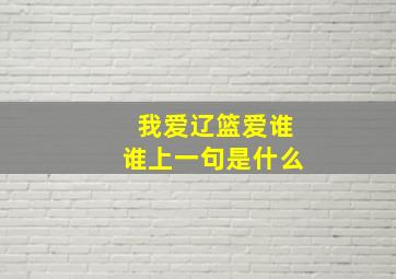 我爱辽篮爱谁谁上一句是什么