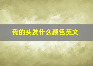 我的头发什么颜色英文