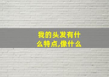 我的头发有什么特点,像什么