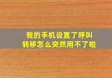 我的手机设置了呼叫转移怎么突然用不了啦