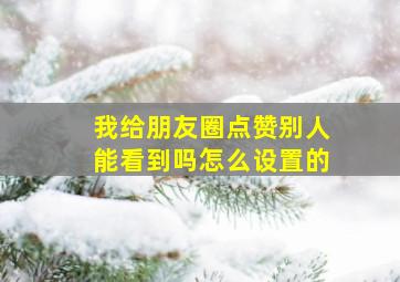 我给朋友圈点赞别人能看到吗怎么设置的