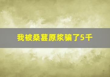 我被桑葚原浆骗了5千