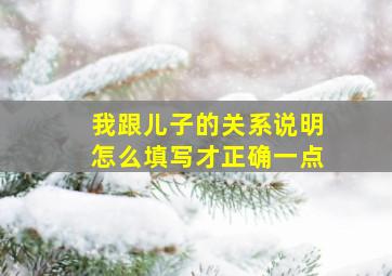 我跟儿子的关系说明怎么填写才正确一点