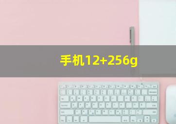 手机12+256g